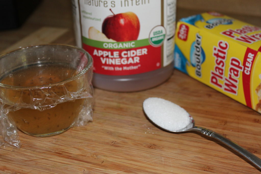 Fruit Fly Trap Ingredients