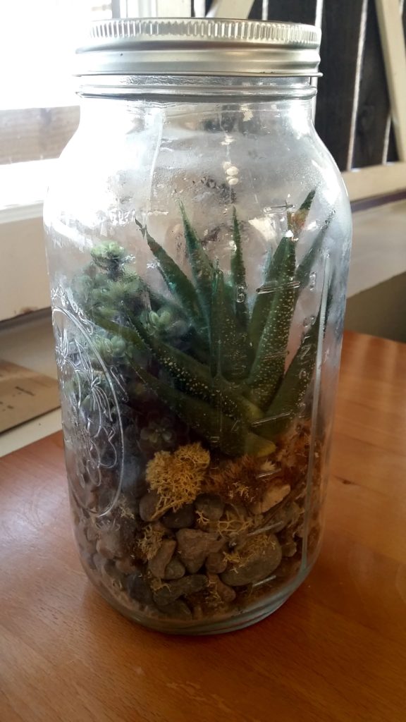 Table Decorations at The Mason Jar: a Terrarium in a Mason Jar