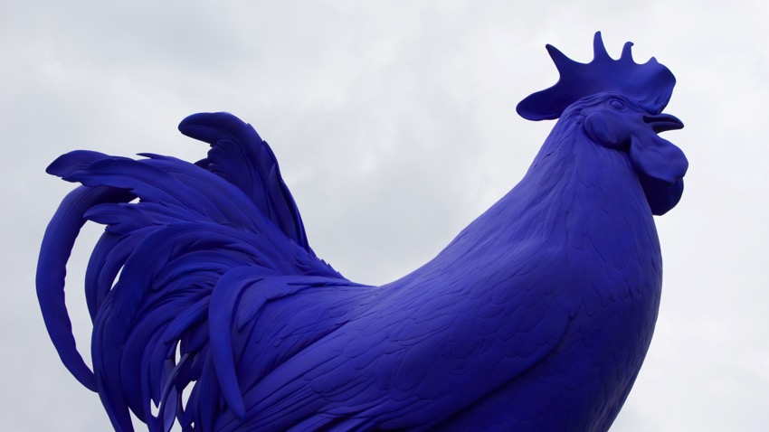 7 Attractions “perfectly positioned” near Courtyard Marriot Roseville, MN