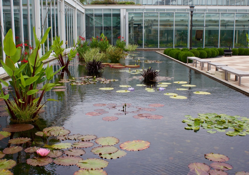 7 Staycation ideas “perfectly positioned” near Courtyard Marriot Roseville, MN
