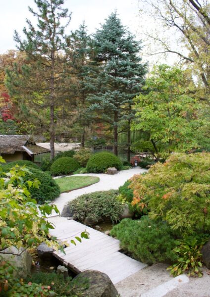 Serenity found at Anderson Japanese Gardens