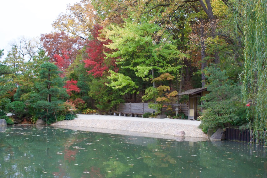 Serenity found at Anderson Japanese Gardens