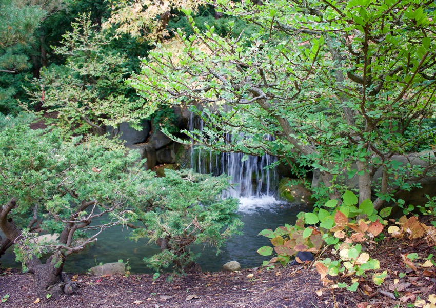 Serenity found at Anderson Japanese Gardens