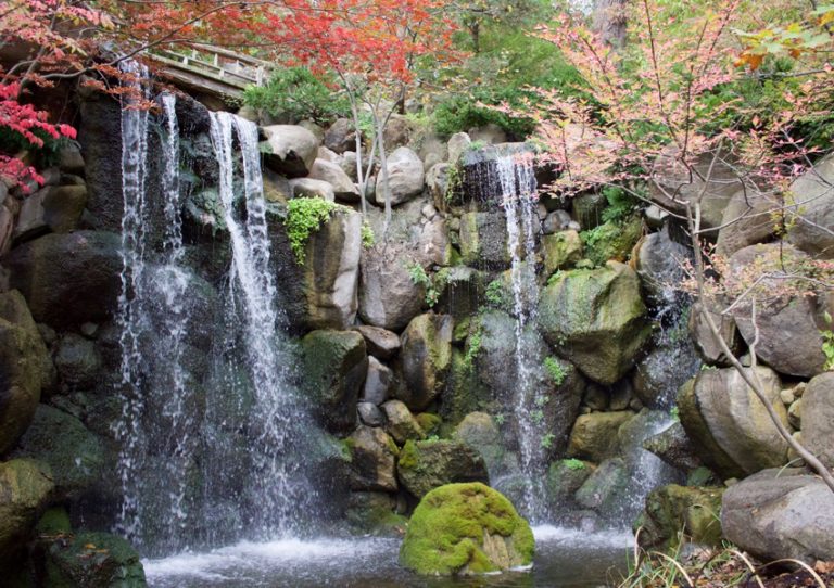 Serenity found at Anderson Japanese Gardens