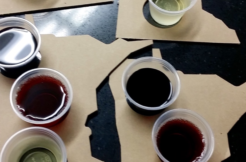 MN Shaped Wine Flights