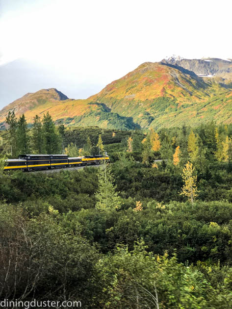 Chasing Fall Colors in Alaska