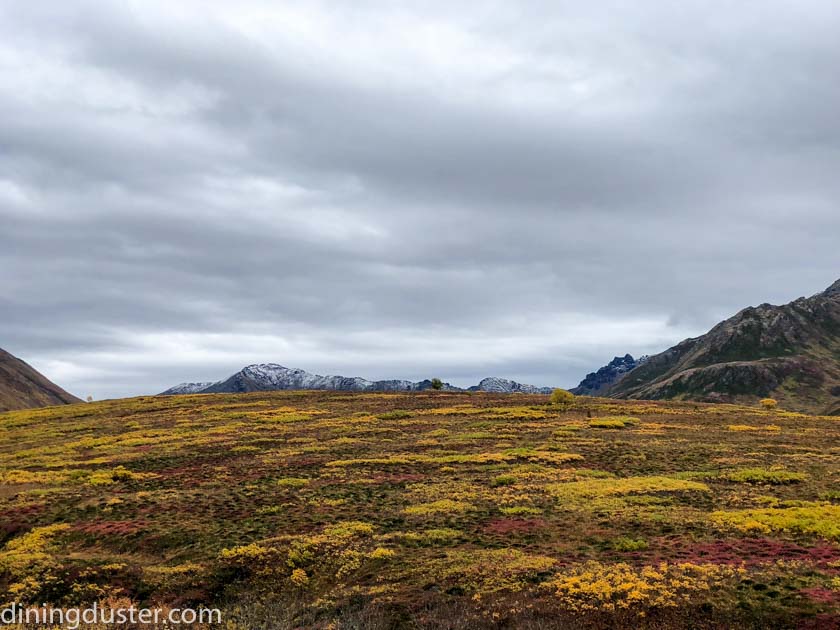 Chasing Fall Colors in Alaska