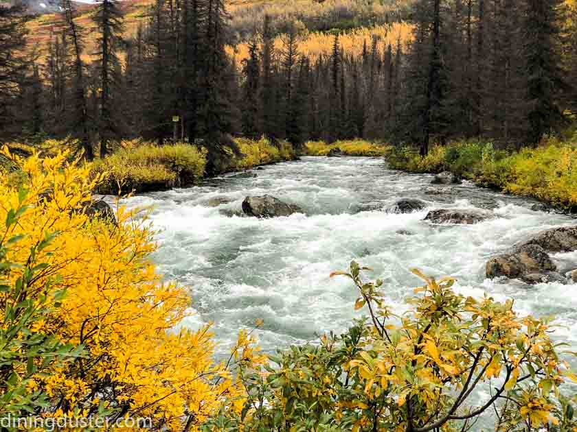Chasing Fall Colors in Alaska