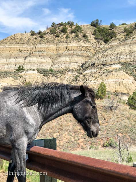 30 Reasons to Plan aVacation in Medora, North Dakota