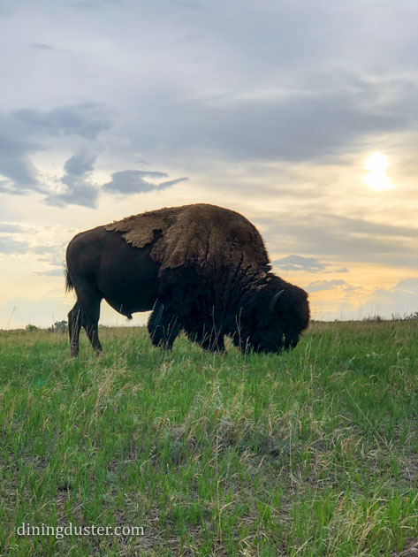 30 Reasons to Plan aVacation in Medora, North Dakota