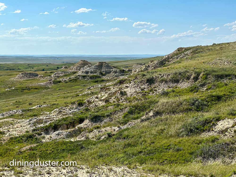scenery at Mahlstedt Ranch