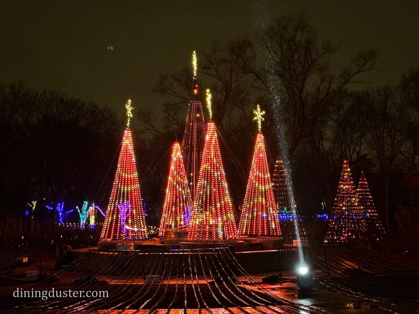 illuminations at Botanica