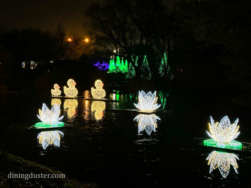 illuminations at Botanica