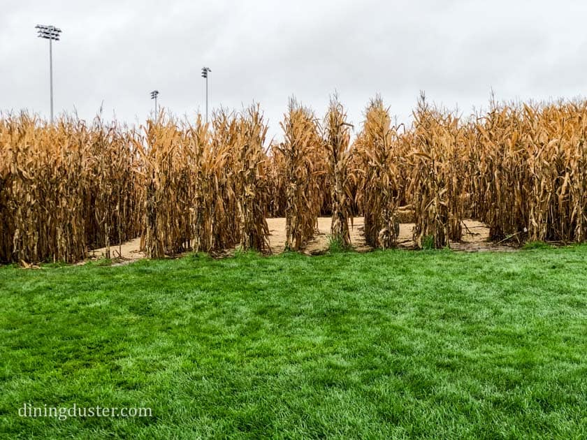 corn field at Field of Dreams in Dyersville
