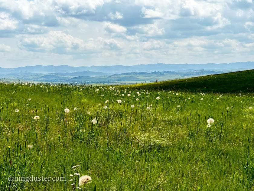 Visitors walking a trail through Little Bighorn Battlefield National Monument