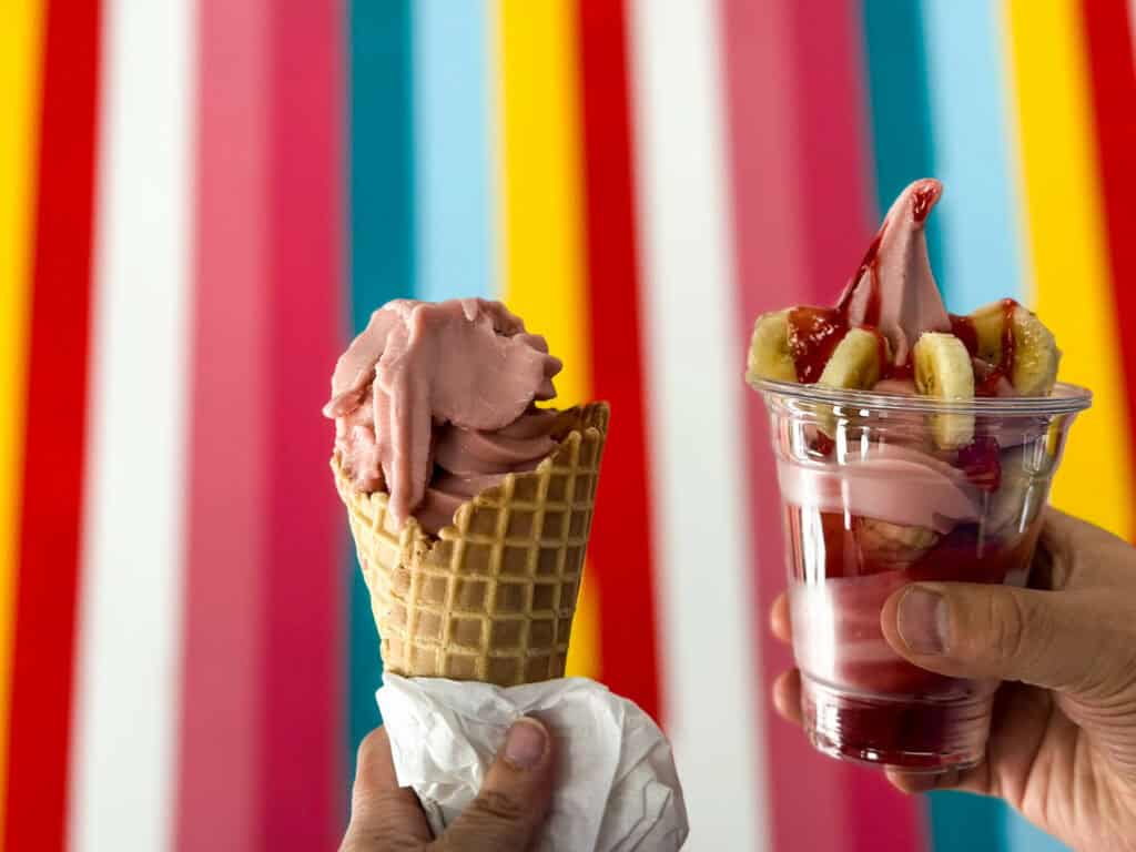 vegan ice cream at MN Nice Cream in Stillwater