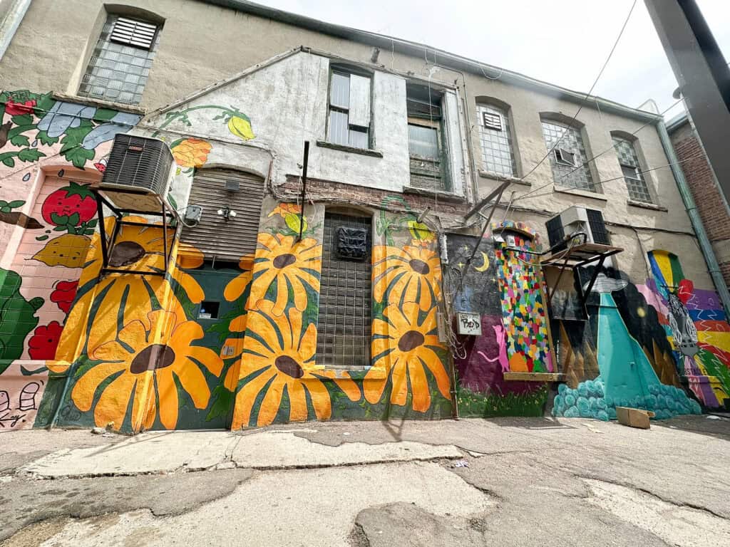 Colorful street art murals in Art Alley Sioux City Iowa