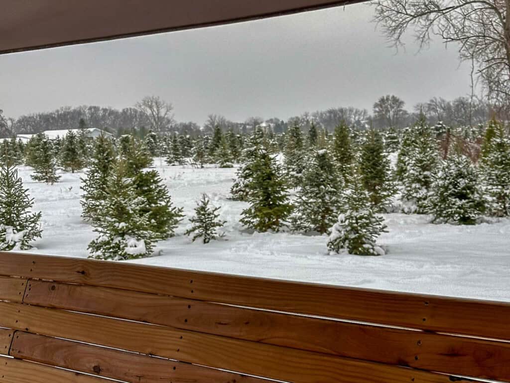 richardson tree farm