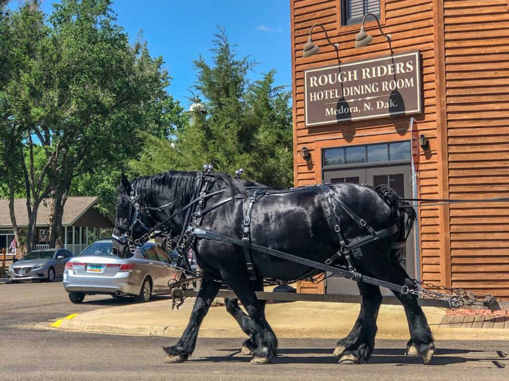 A horse-drawn carraige walking in front of the Rough Riders Hotel in downtown Medora.