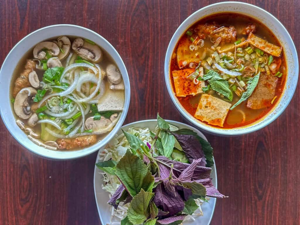 vegan pho with toppings at Thanh Luong Vegetarian in Minnetonka, MN